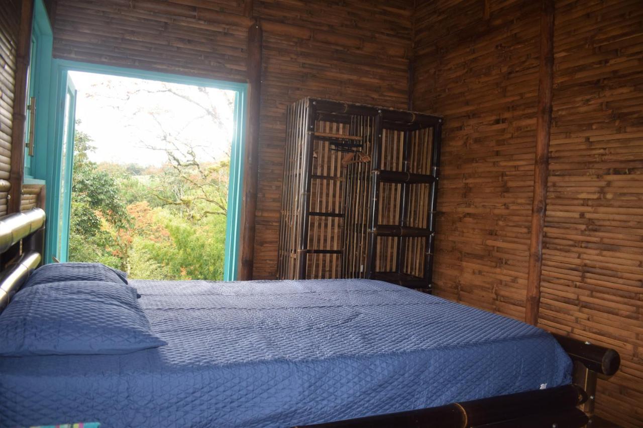 Villa Casa De Bambu Turrialba Esterno foto